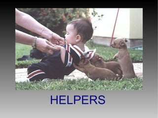 HELPERS

 