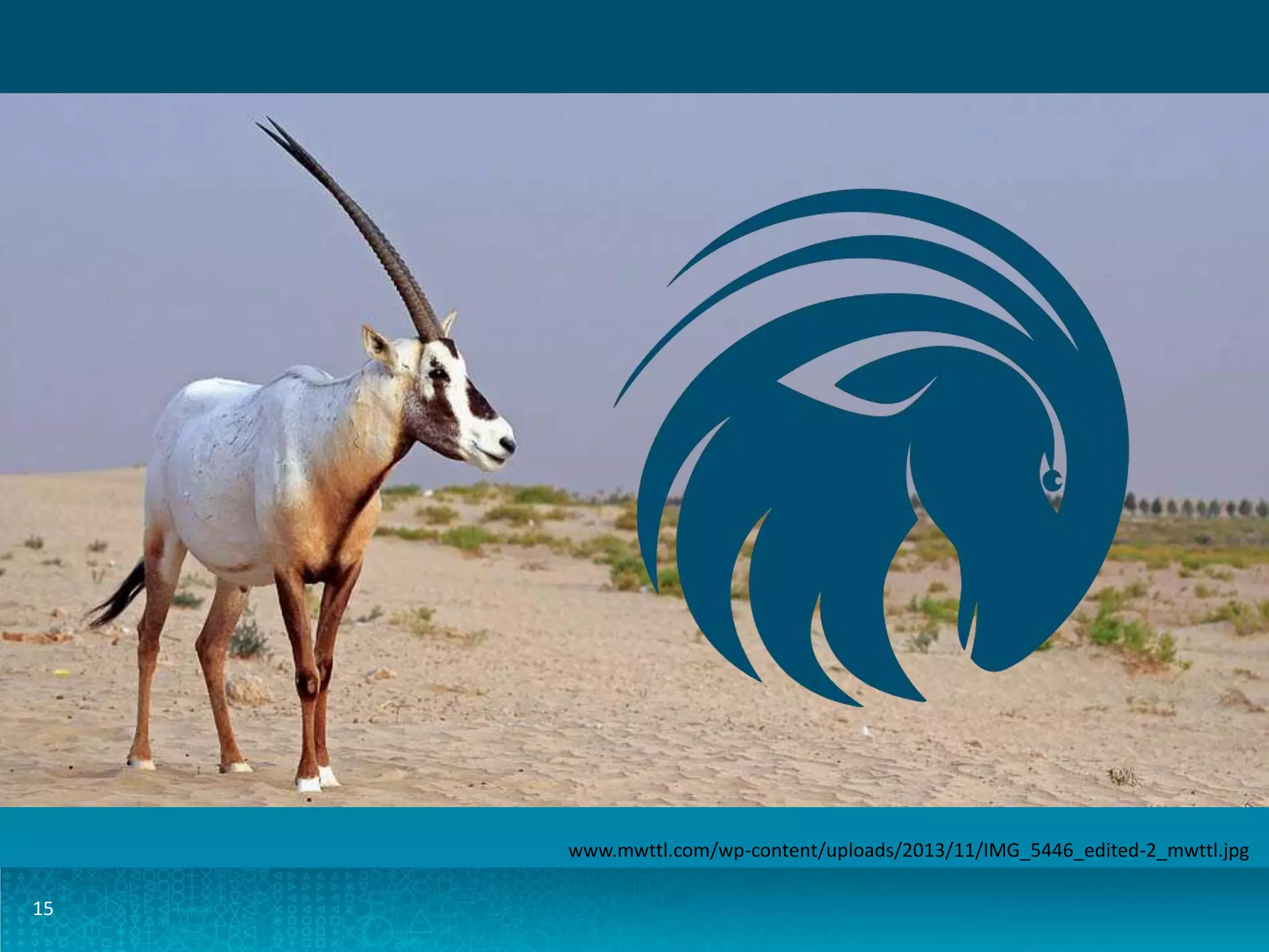 www.mwttl.com/wp-content/uploads/2013/11/IMG_5446_edited-2_mwttl.jpg 15 