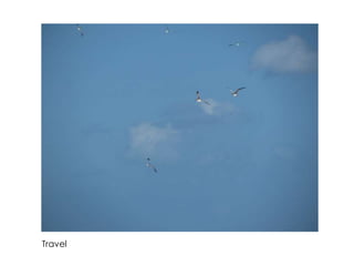 Travel