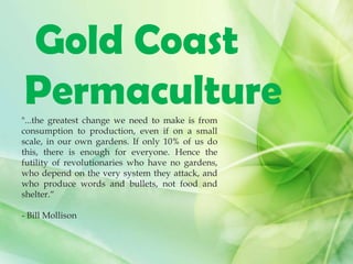 Gold Coast
Permaculture"...the greatest change we need to make is from
consumption to production, even if on a small
scale, in our own gardens. If only 10% of us do
this, there is enough for everyone. Hence the
futility of revolutionaries who have no gardens,
who depend on the very system they attack, and
who produce words and bullets, not food and
shelter.“
- Bill Mollison
 