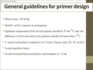 Comprehensive Guide to PCR Primer Design and Optimization Techniques | PDF