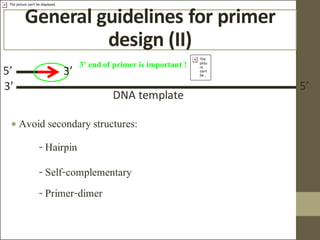 Comprehensive Guide to PCR Primer Design and Optimization Techniques | PDF