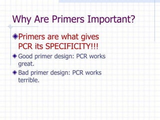 Comprehensive Guide to PCR Primer Design and Optimization Techniques | PDF
