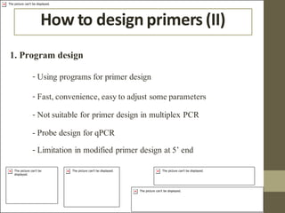 Comprehensive Guide to PCR Primer Design and Optimization Techniques | PDF