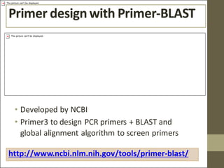Comprehensive Guide to PCR Primer Design and Optimization Techniques | PDF