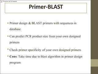 Comprehensive Guide to PCR Primer Design and Optimization Techniques | PDF