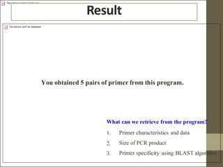 Comprehensive Guide to PCR Primer Design and Optimization Techniques | PDF