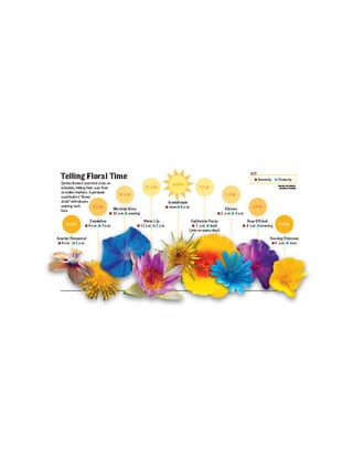 Design Principles