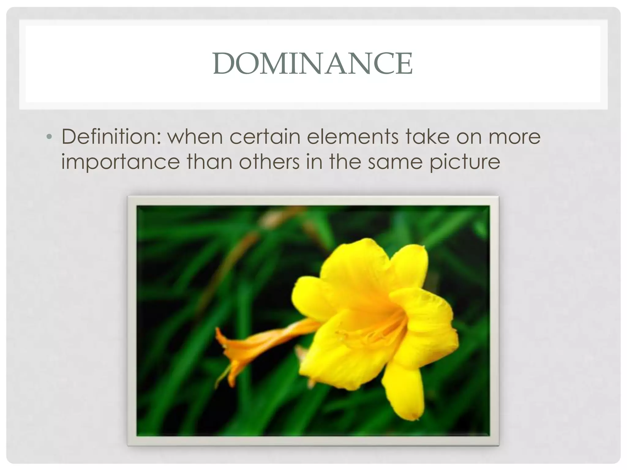 DOMINANCE

• Definition: when certain elements take on more
  importance than others in the same picture
 