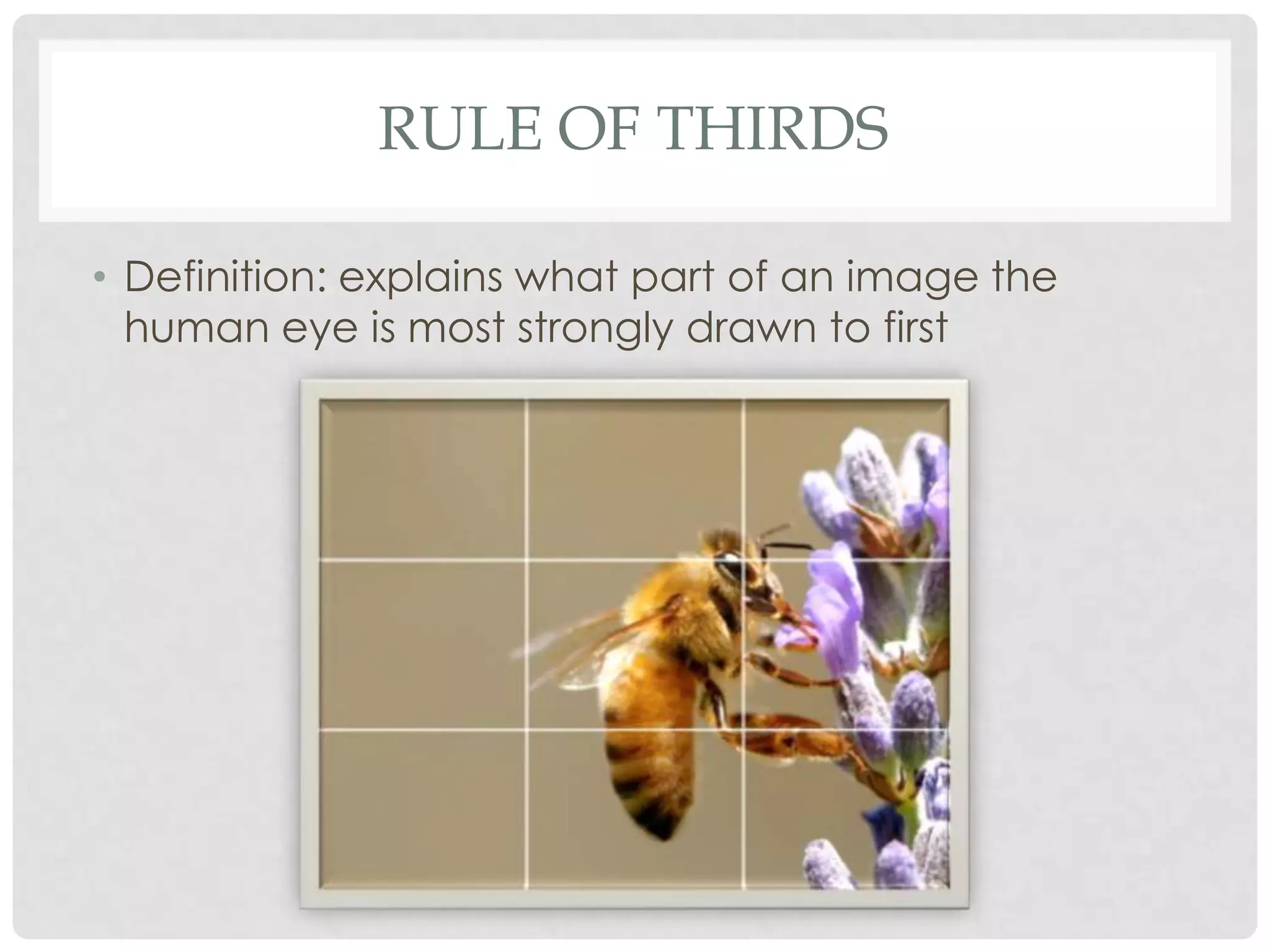 RULE OF THIRDS

• Definition: explains what part of an image the
  human eye is most strongly drawn to first
 
