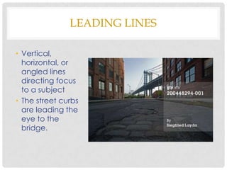 LEADING LINES

• Vertical,
  horizontal, or
  angled lines
  directing focus
  to a subject
• The street curbs
  are leading the
  eye to the
  bridge.
 