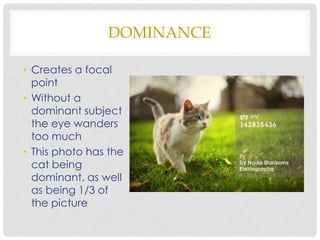DOMINANCE

• Creates a focal
  point
• Without a
  dominant subject
  the eye wanders
  too much
• This photo has the
  cat being
  dominant, as well
  as being 1/3 of
  the picture
 
