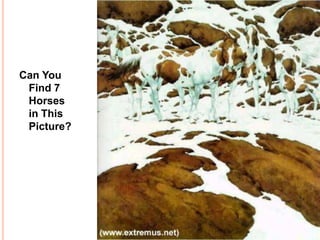 Can You
Find 7
Horses
in This
Picture?
 