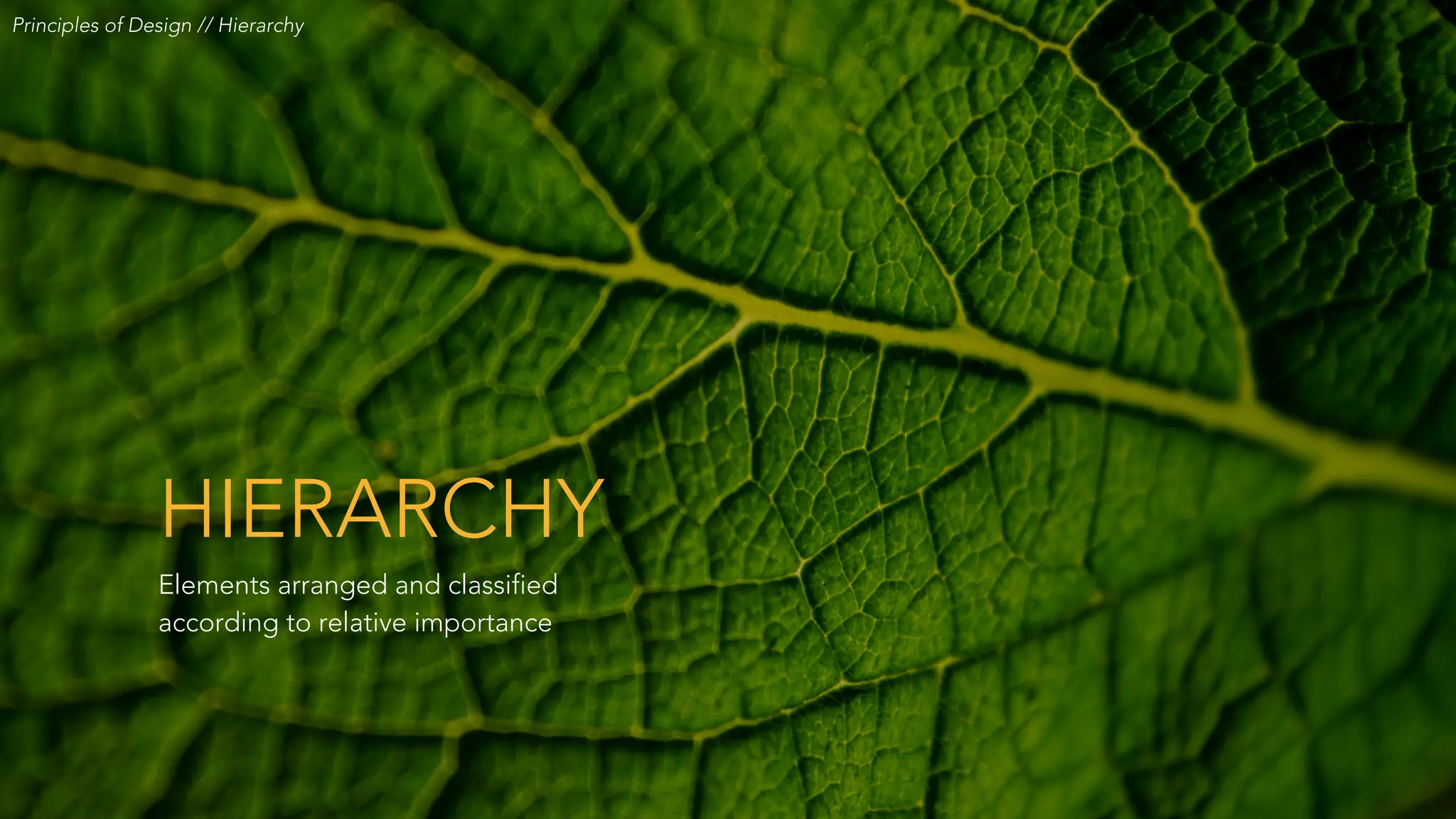 Elements arranged and classified
according to relative importance
HIERARCHY
Principles of Design // Hierarchy
 