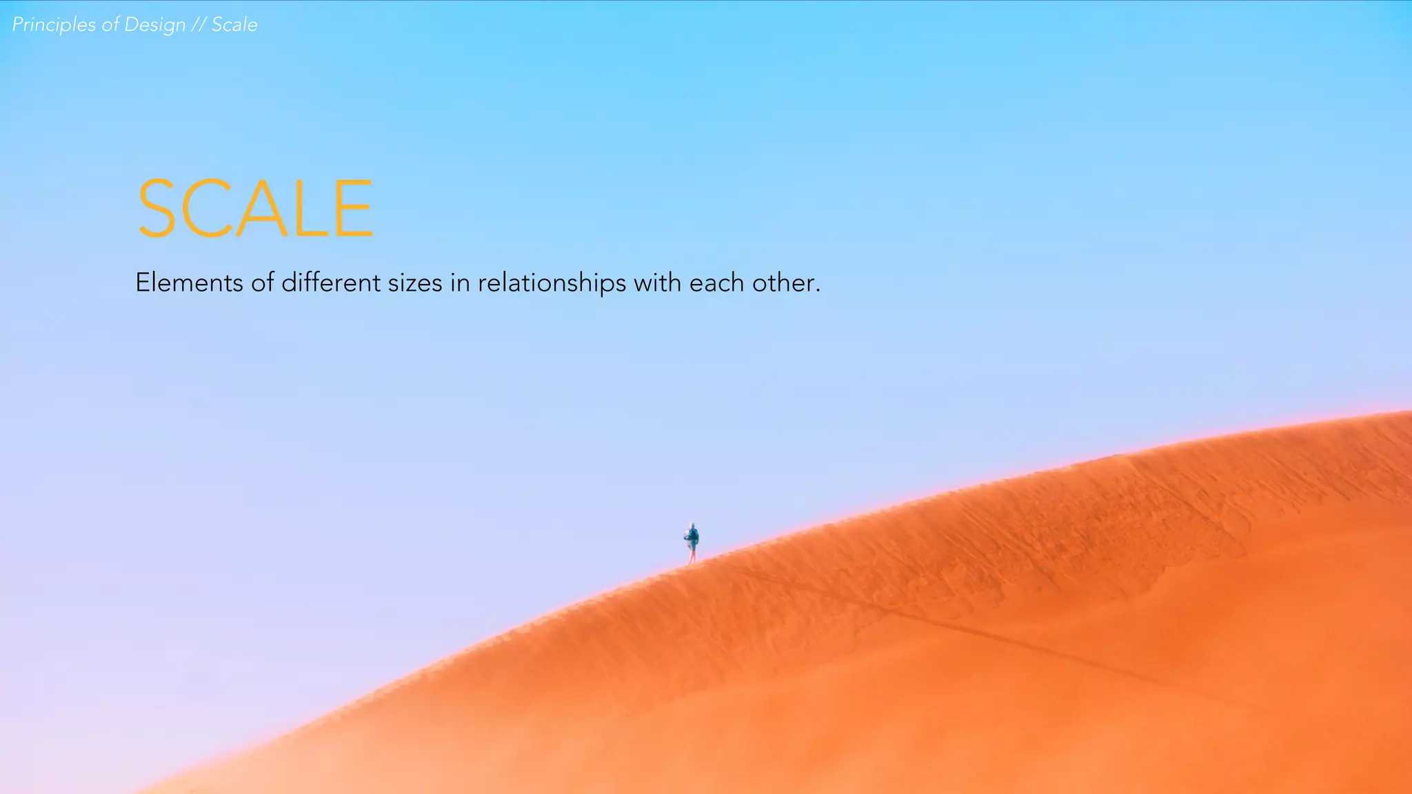 SCALE
Principles of Design // Scale
Elements of different sizes in relationships with each other.
 