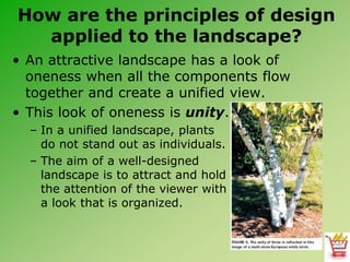 Design Principles Unity Landscape Design Principles.ppt