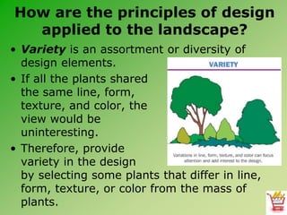 Design Principles.ppt