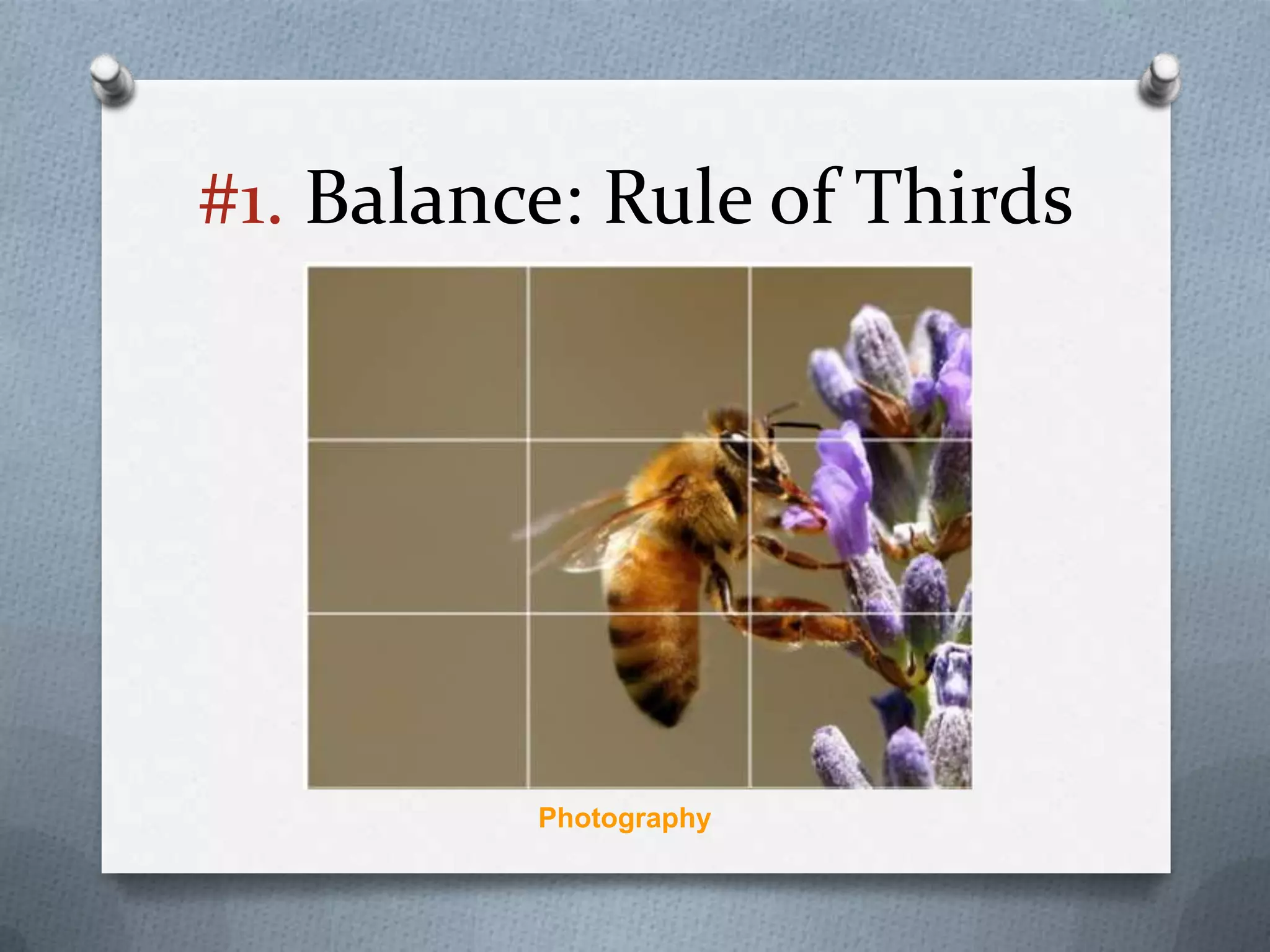 #1. Balance: Rule of Thirds




          Photography
 