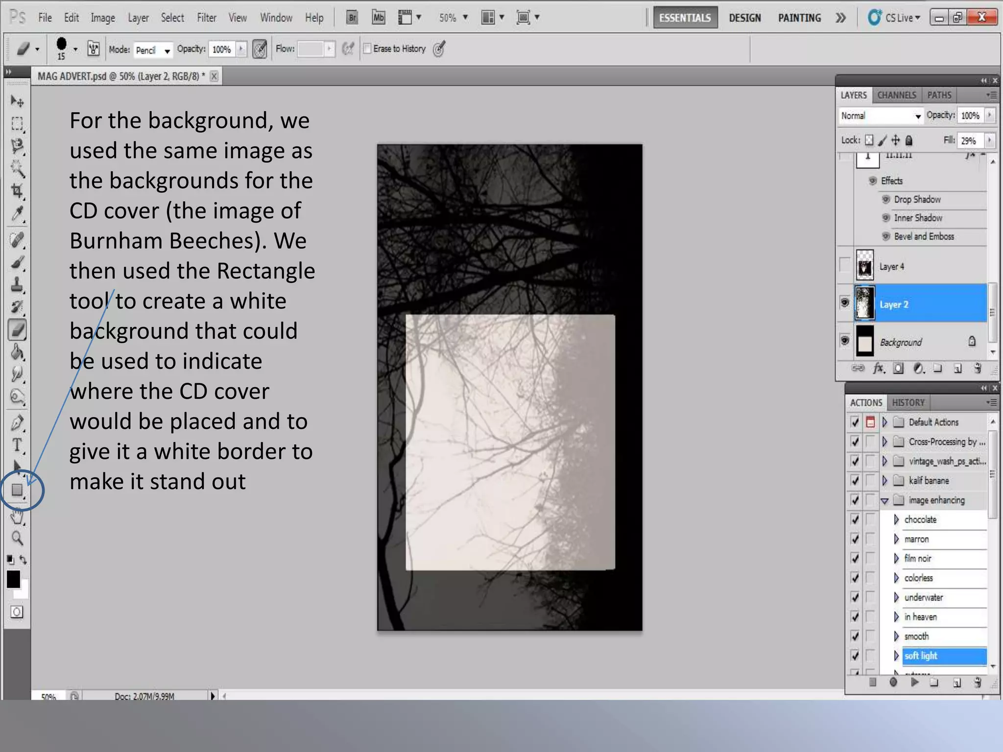 For the background, we
used the same image as
the backgrounds for the
CD cover (the image of
Burnham Beeches). We
then used the Rectangle
tool to create a white
background that could
be used to indicate
where the CD cover
would be placed and to
give it a white border to
make it stand out
 