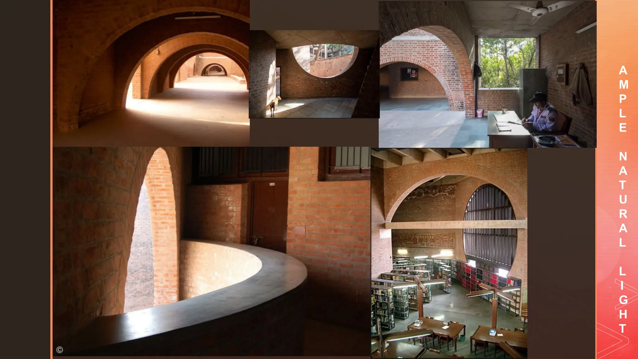 z
A
M
P
L
E
N
A
T
U
R
A
L
L
I
G
H
T
 