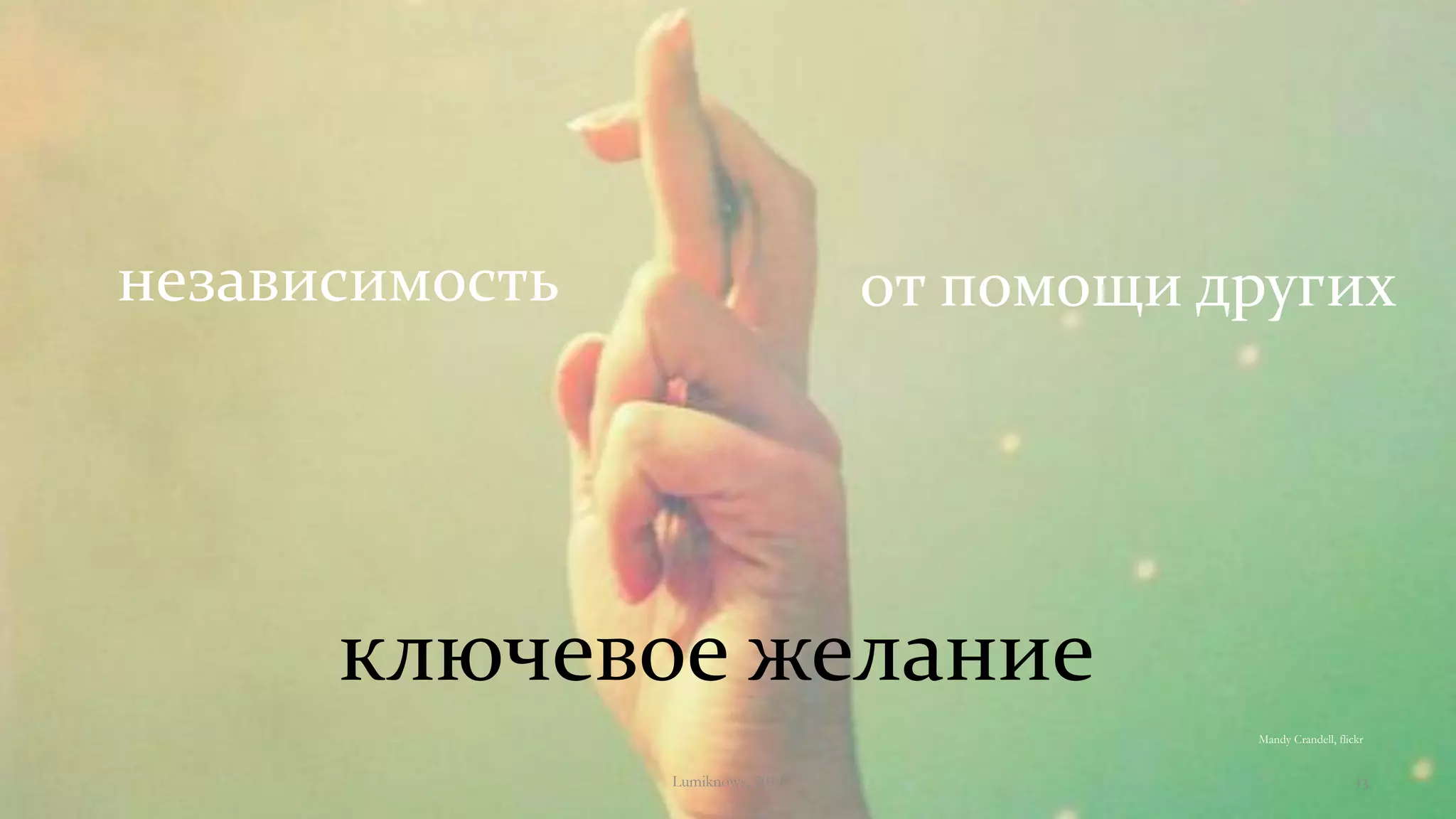 ключевое желание
независимость от помощи других
Mandy Crandell, flickr
Lumiknows, 2014 13
 