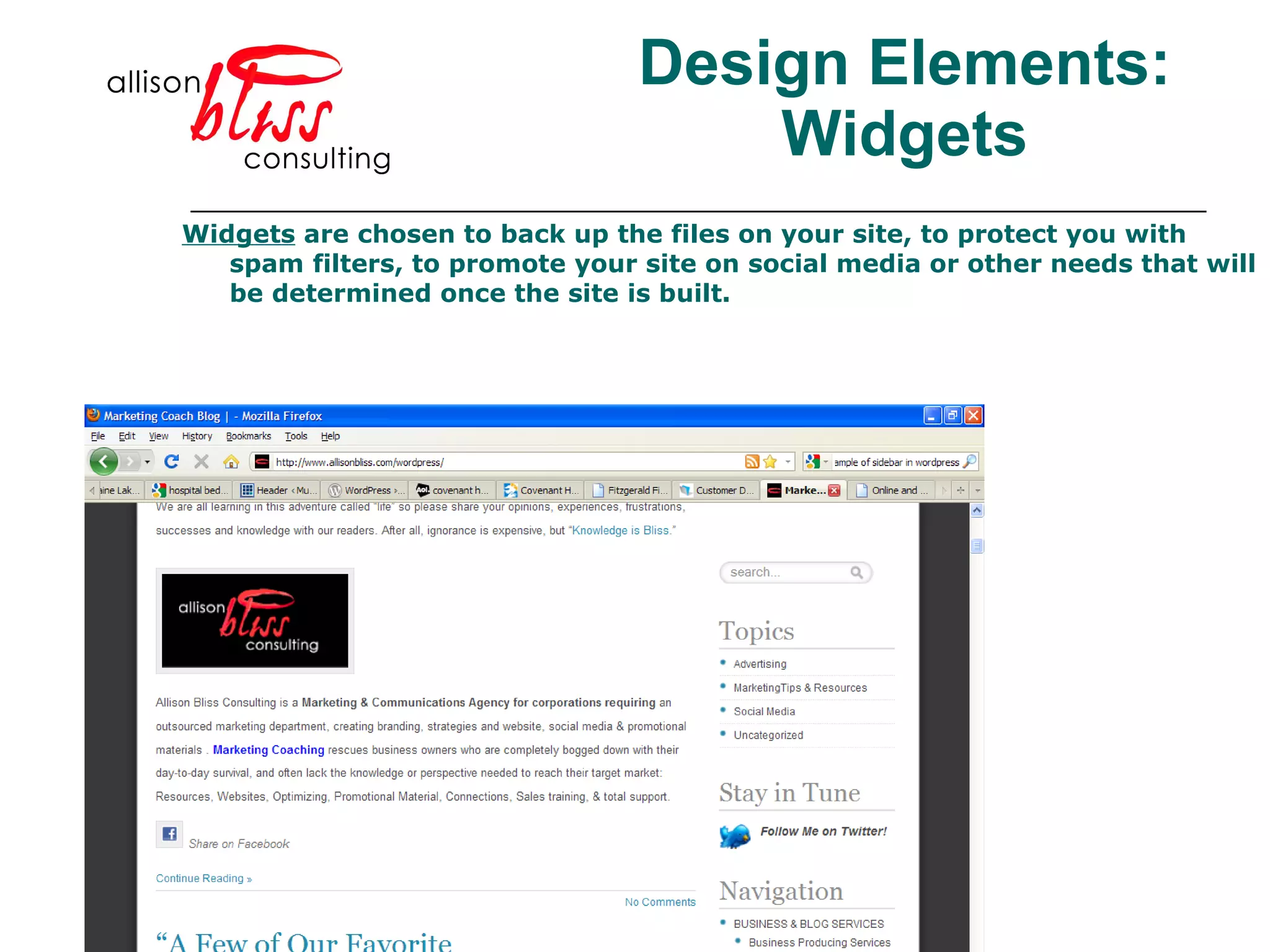 Design Elements: Widgets Widgets  are chosen to back up the files on your site, to protect you with spam filters, to promote your site on social media or other needs that will be determined once the site is built.  