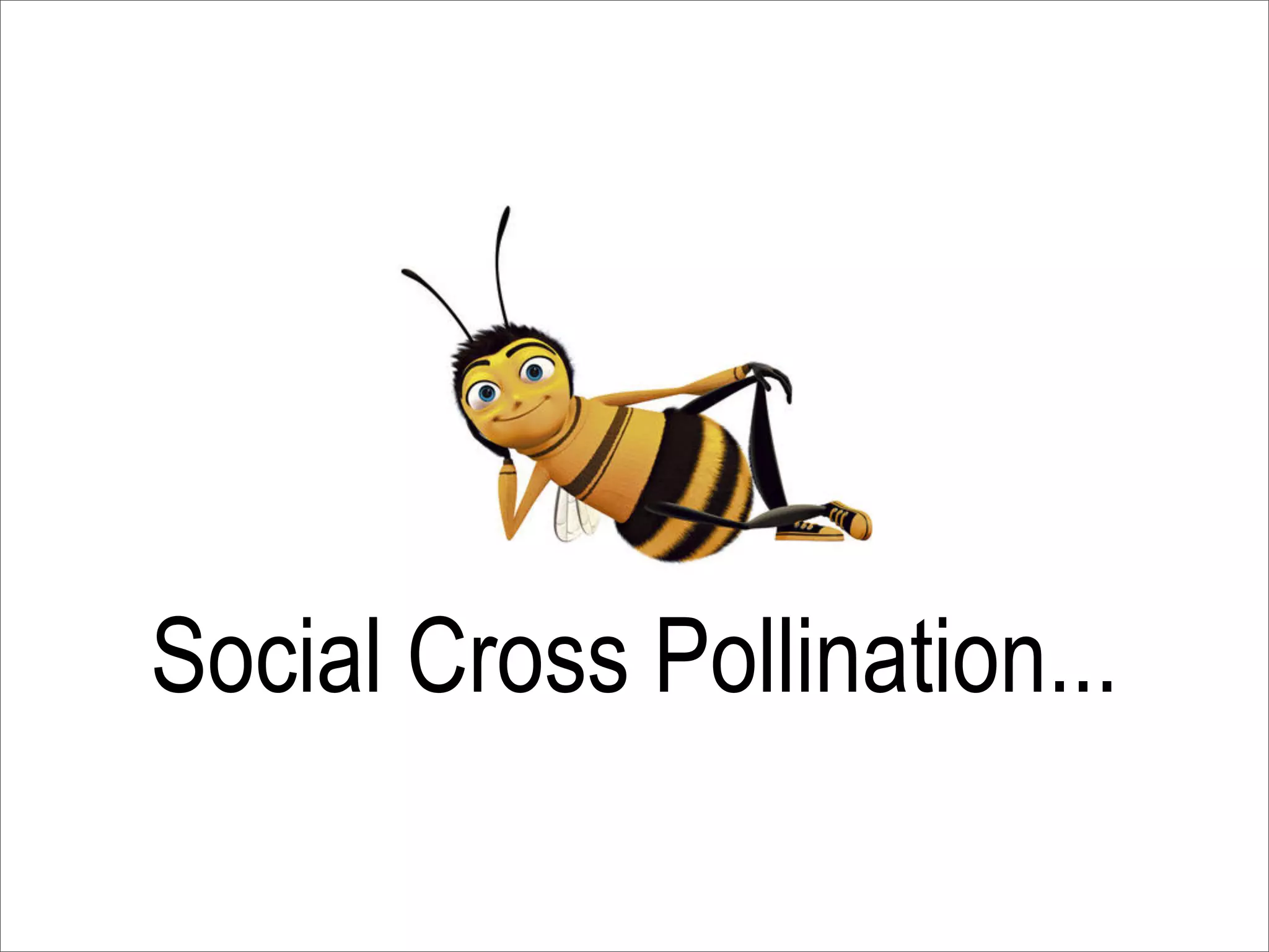 Social Cross Pollination...
 