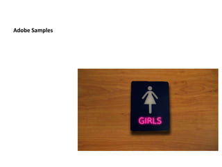 Adobe Samples
