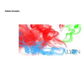 Adobe Samples