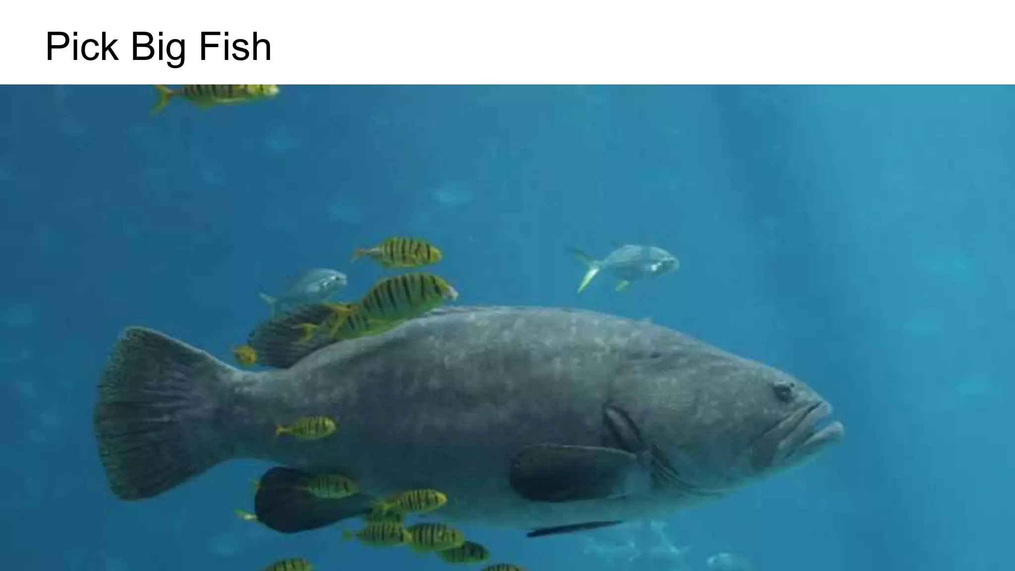 Pick Big Fish
 
