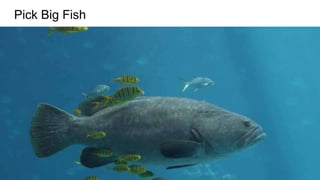Pick Big Fish
 