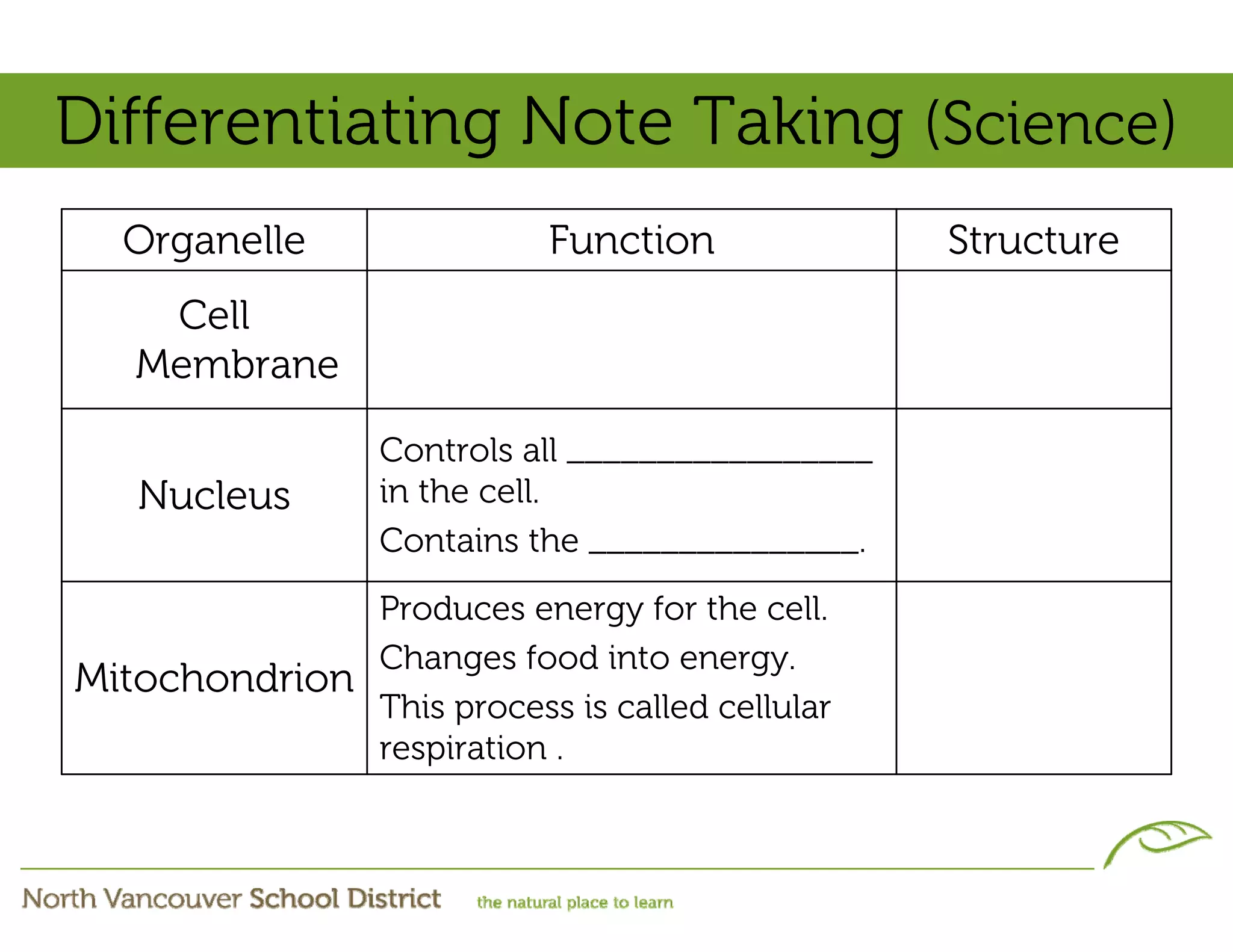 Differentiating Note Taking (Science)
  Organelle                 Function               Structure
    Cell
   Membrane

                  Controls all _________________
   Nucleus        in the cell.
                  Contains the _______________.
              Produces energy for the cell.
              Changes food into energy.
Mitochondrion
              This process is called cellular
              respiration .
 