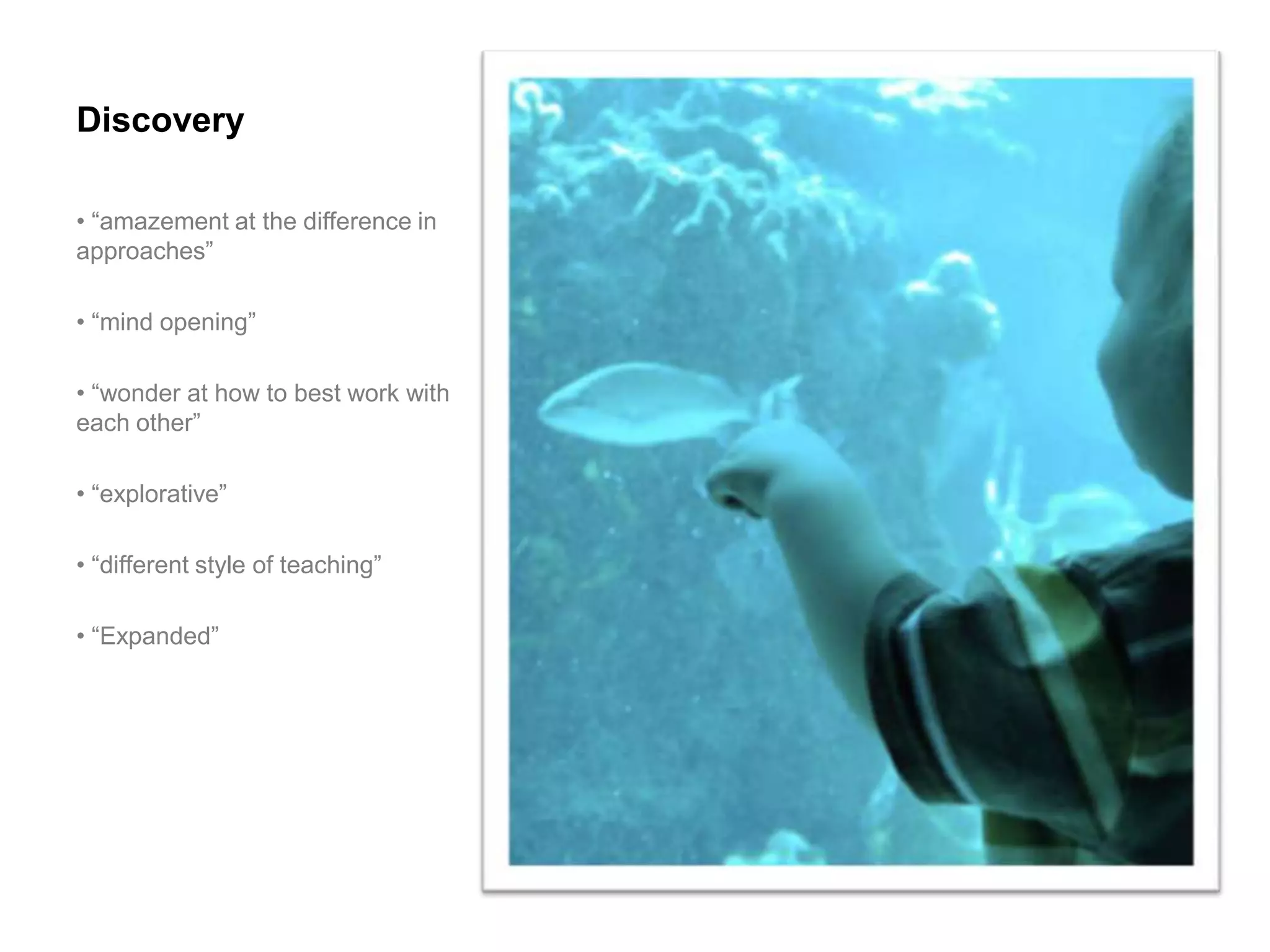 Discovery

• “amazement at the difference in
approaches”

• “mind opening”

• “wonder at how to best work with
each other”

• “explorative”

• “different style of teaching”

• “Expanded”
 