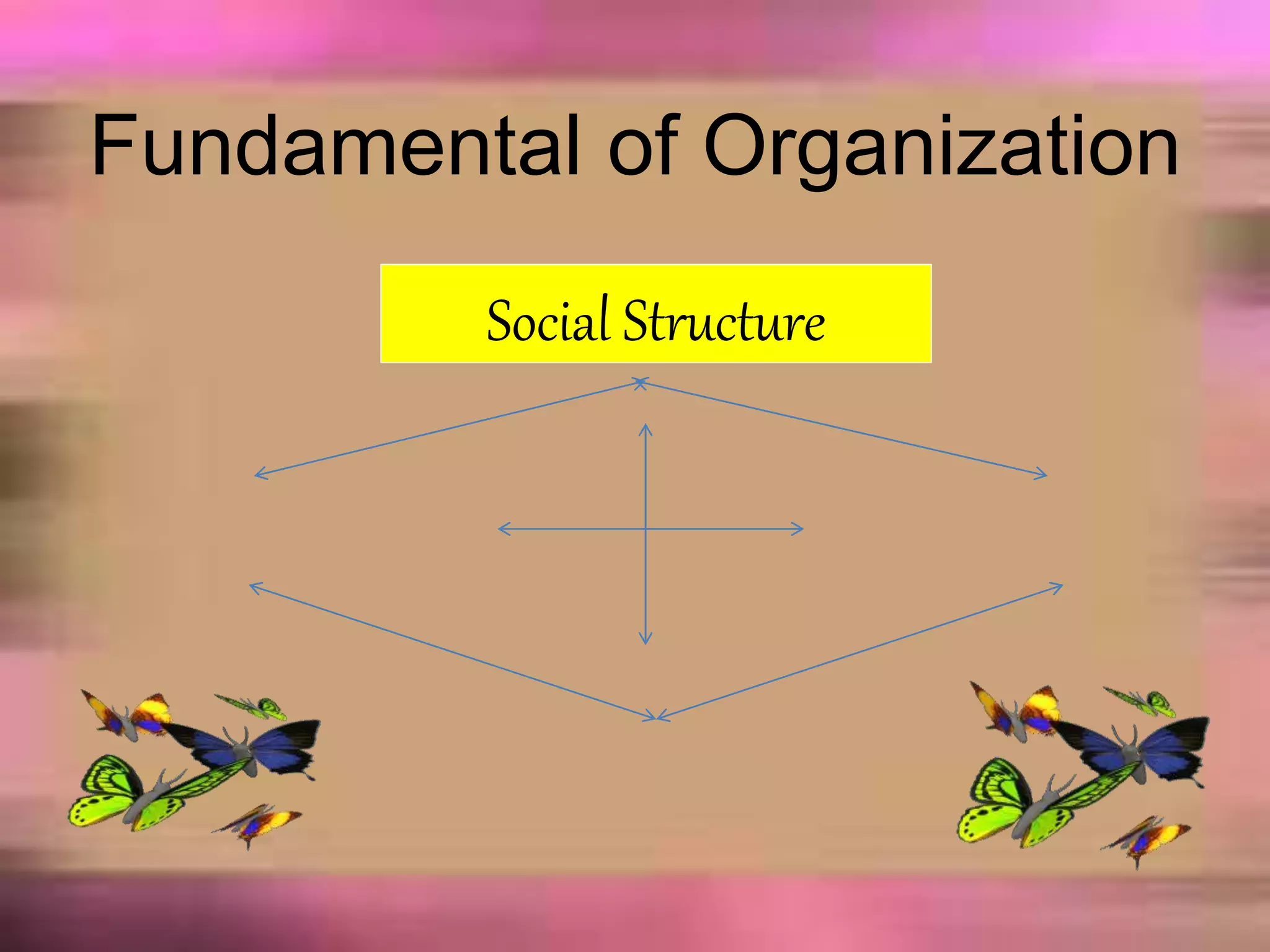 Fundamental of Organization
Social Structure
 