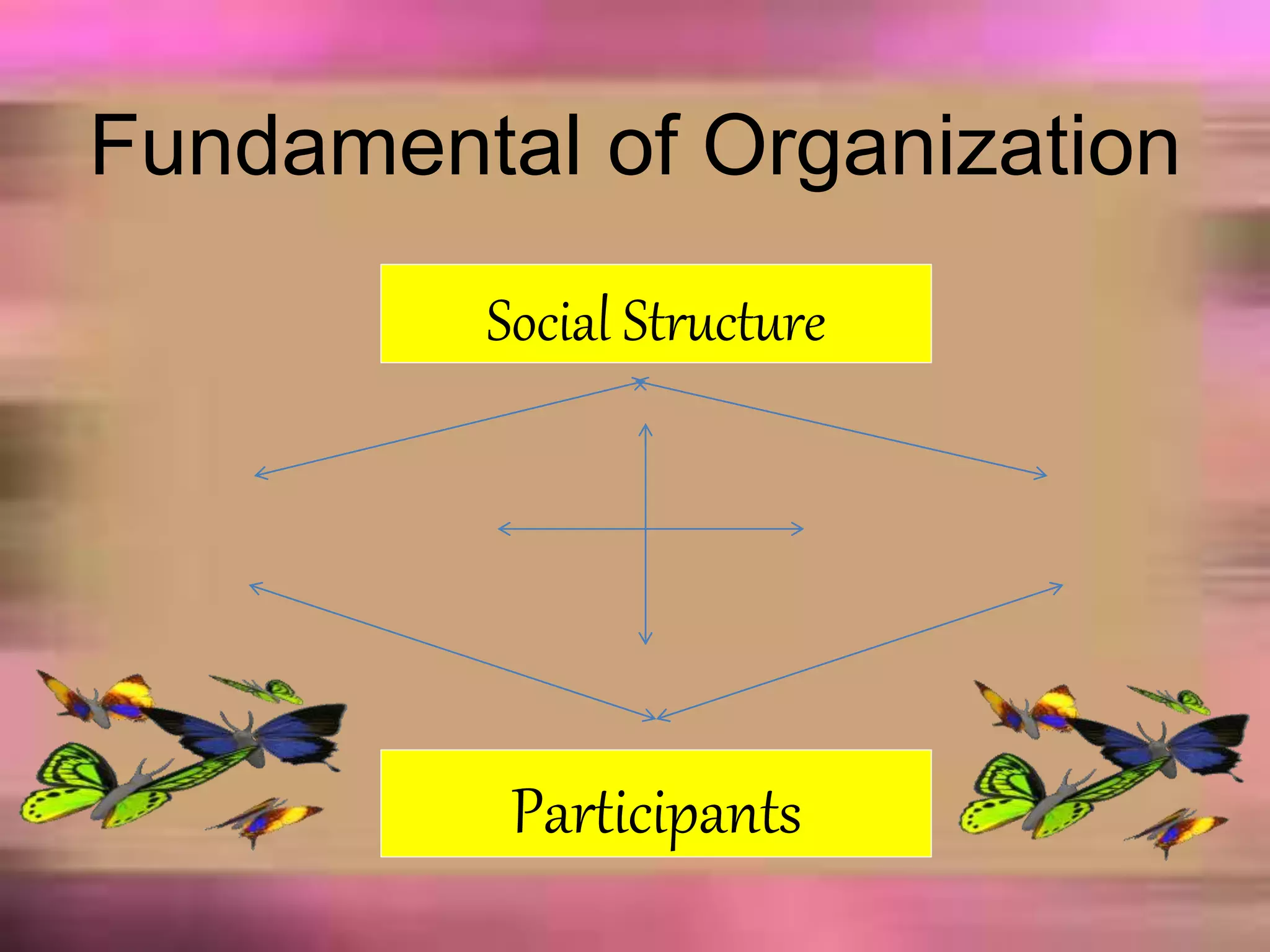 Fundamental of Organization
Social Structure
Participants
 