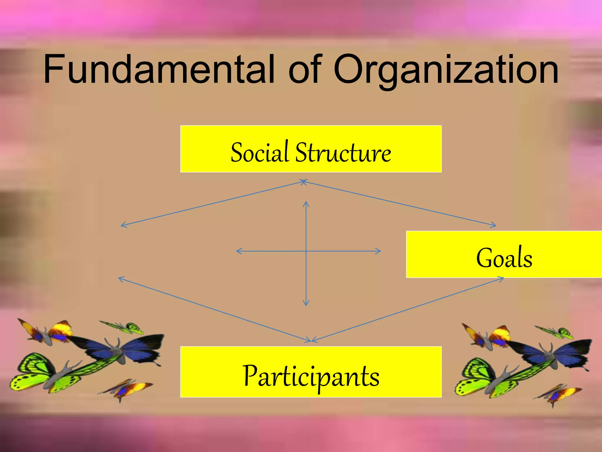 Fundamental of Organization
Social Structure
Goals
Participants
 
