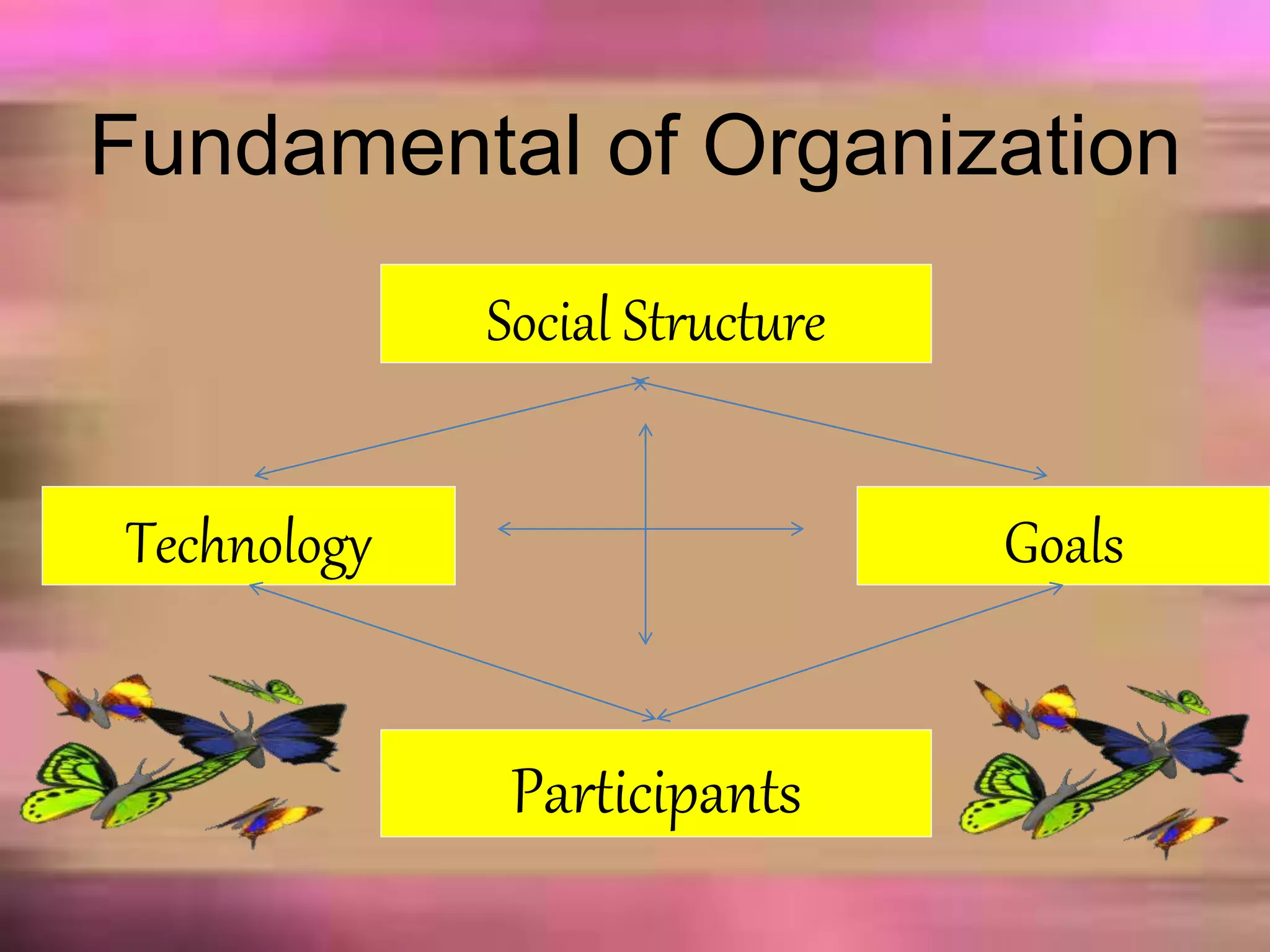 Fundamental of Organization
Social Structure
Technology Goals
Participants
 