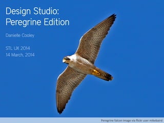 Design Studio:
Peregrine Edition
Danielle Cooley
STL UX 2014
14 March, 2014
Peregrine	
  falcon	
  image	
  via	
  ﬂickr	
  user	
  mikebaird	
  
 