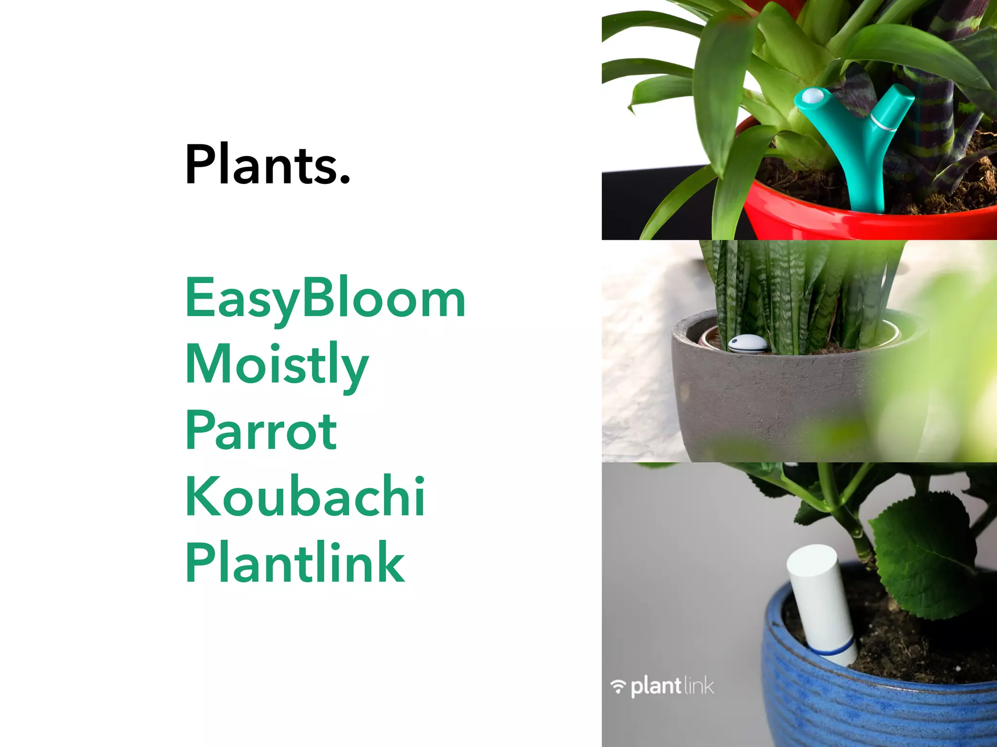 Plants.
EasyBloom
Moistly
Parrot
Koubachi
Plantlink