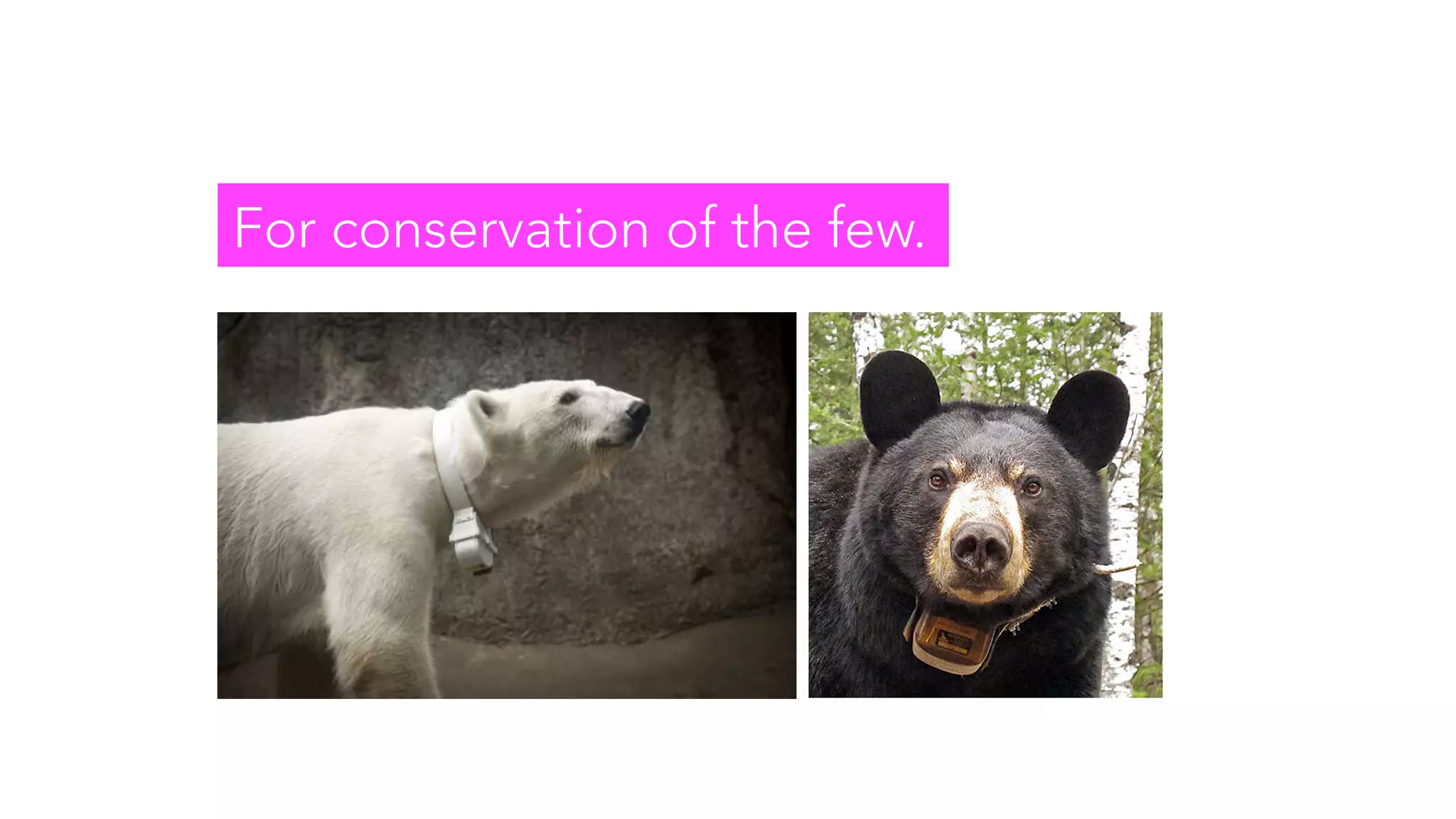 For conservation of the few.