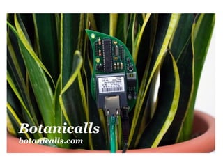 Botanicalls
botanicalls.com
 