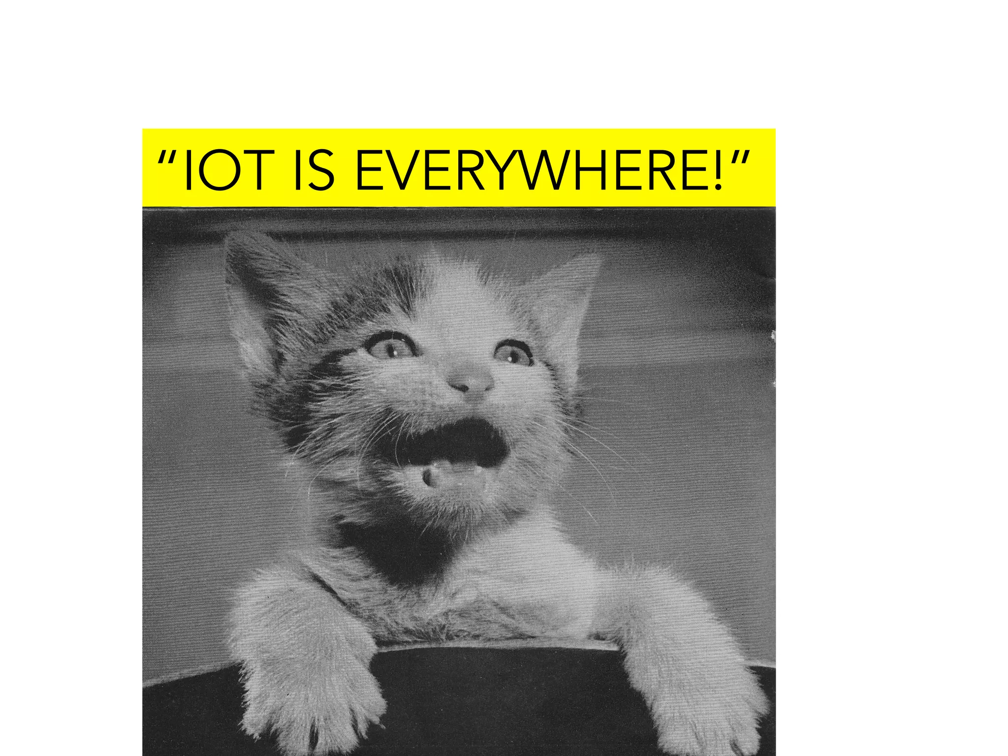“IOT IS EVERYWHERE!”
 