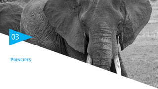 03
PRINCIPES
 