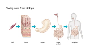 Taking cues from biology
 