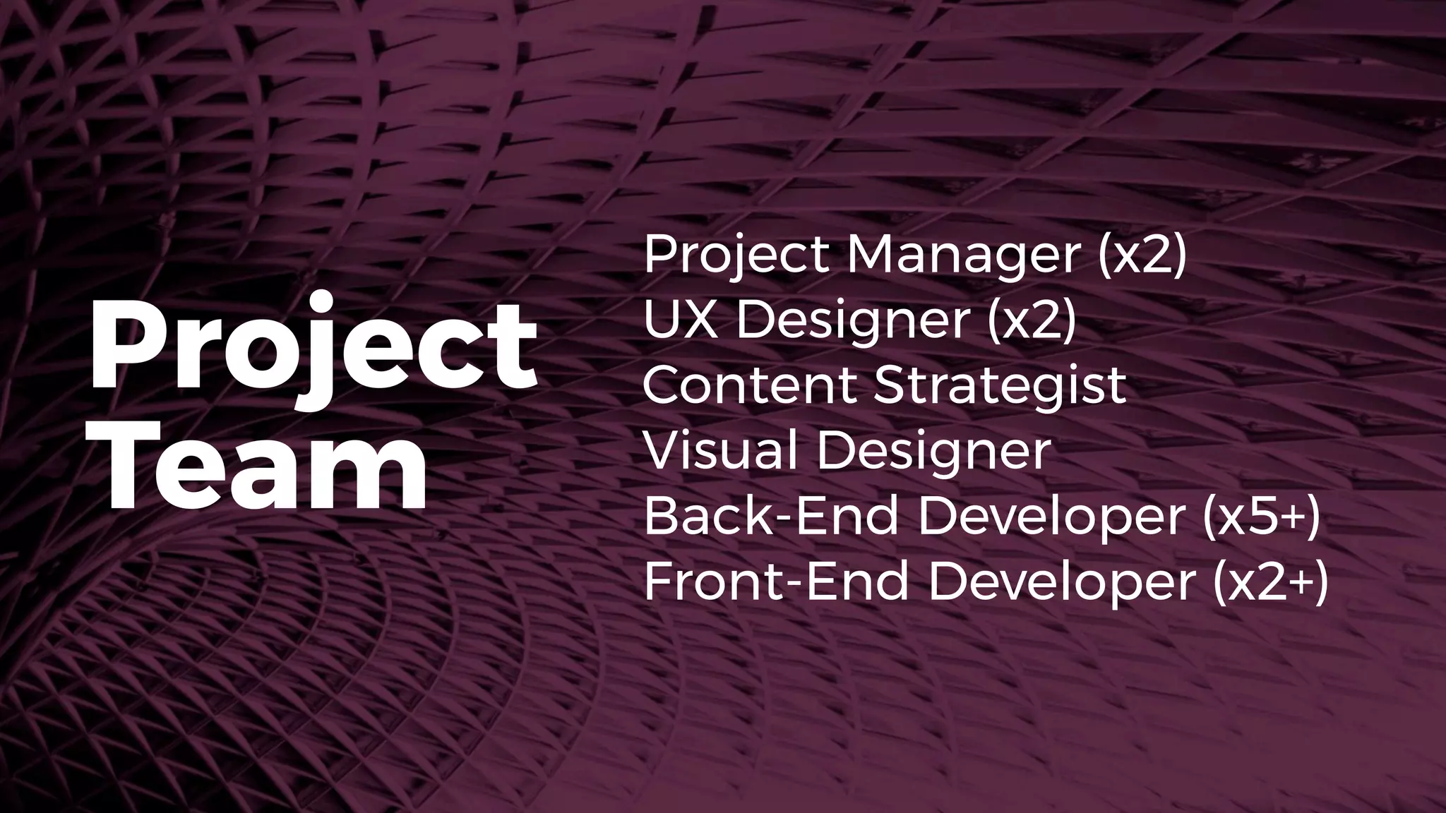 Project Manager (x2)
UX Designer (x2)
Content Strategist
Visual Designer
Back-End Developer (x5+)
Front-End Developer (x2+)
Project
Team
 