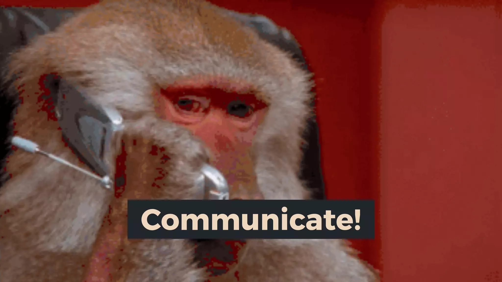 Communicate!
 