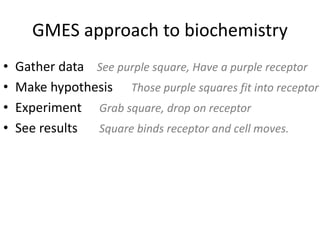 GMES approach to biochemistry
? Gather data See purple square, Have a purple receptor
? Make hypothesis Those purple squares fit into receptor
? Experiment Grab square, drop on receptor
? See results Square binds receptor and cell moves.
 