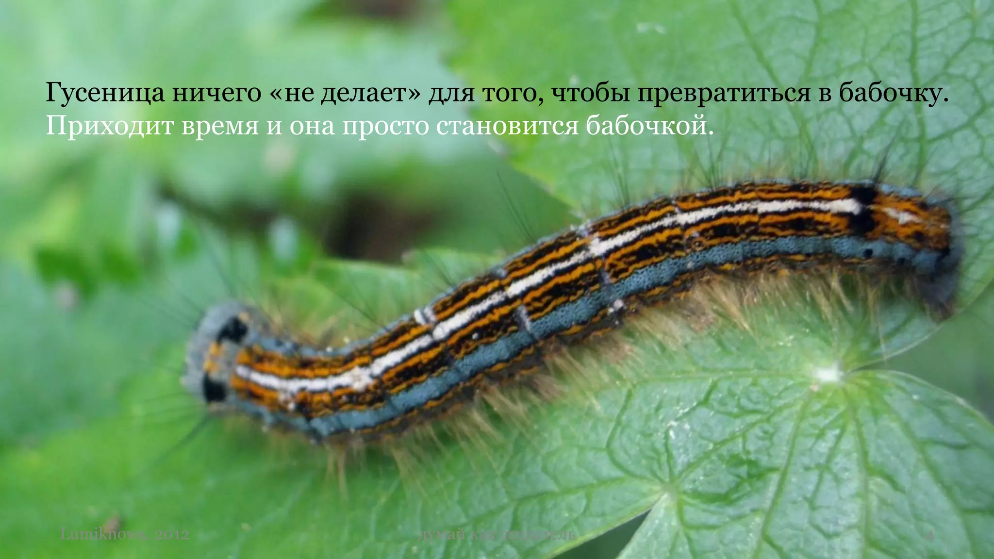 Гусеница ничего «не делает» для того, чтобы превратиться в бабочку.
Приходит время и она просто становится бабочкой.




 Lumiknows, 2012           думай как создатель                   4
 