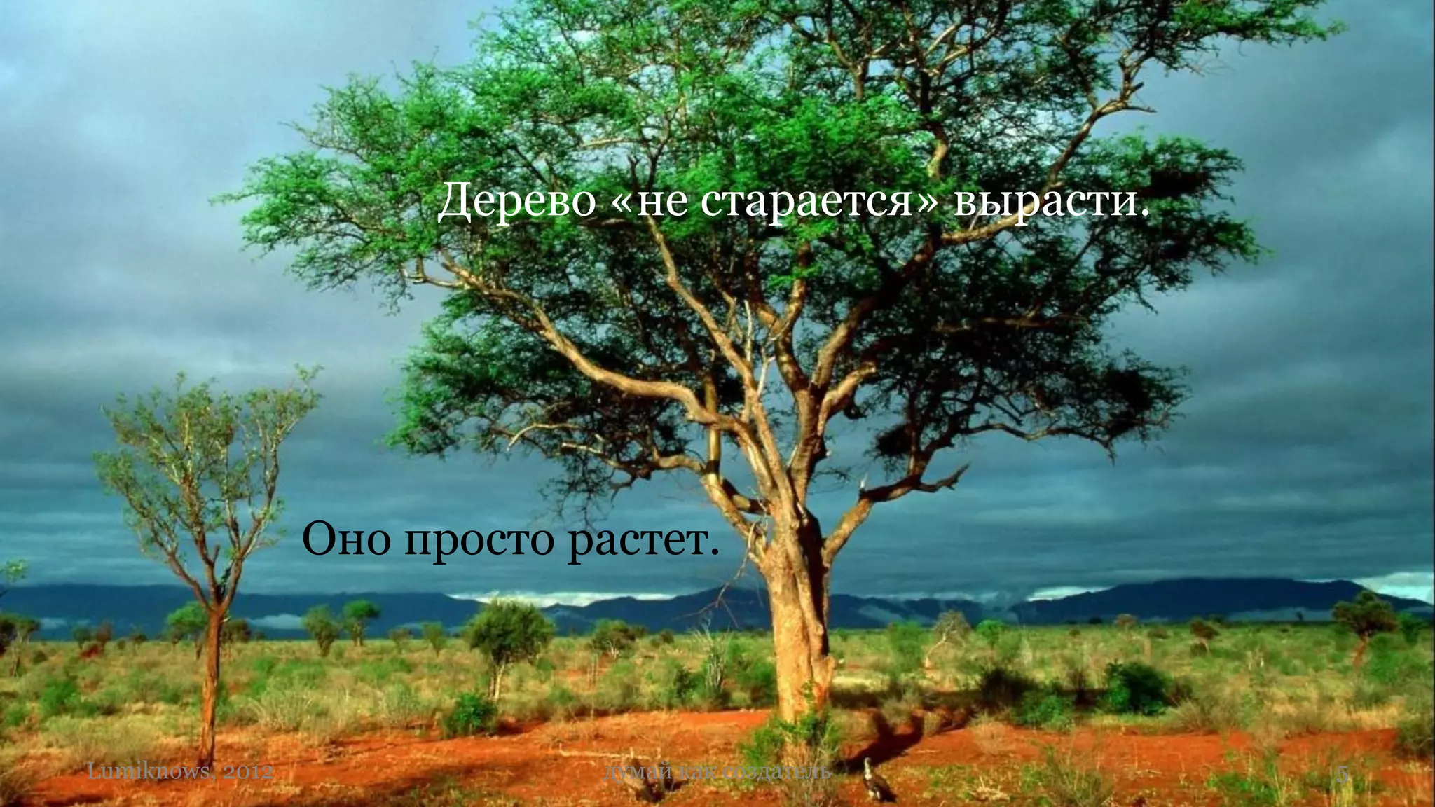 Дерево «не старается» вырасти.




                  Оно просто растет.



Lumiknows, 2012               думай как создатель       5
 