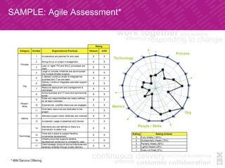 SAMPLE: Agile Assessment*	
* IBM Service Offering	
 